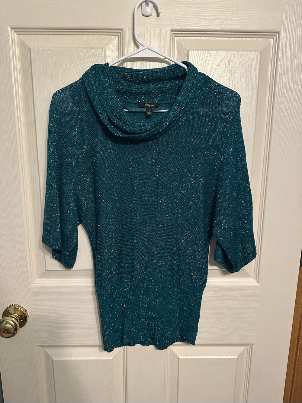 Cupio Teal Shimmer Cowl Neck Sweater